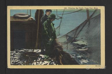 Cartolina Pesca con la rete (USA 1948)