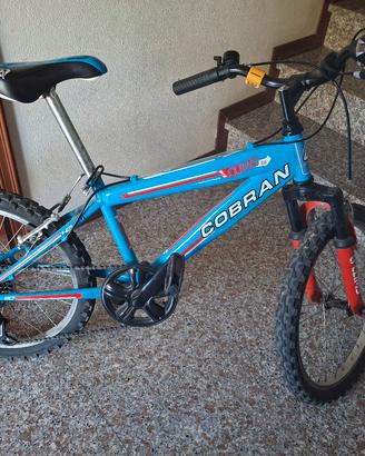 bicicletta Cobran da maschio ruota da 20