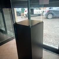 Teca/Vetrina per esposizione