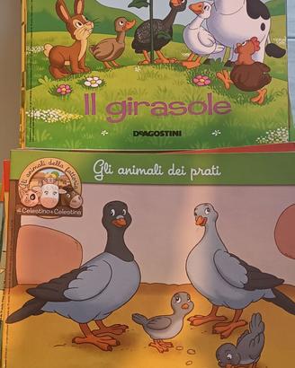libri per bambini 