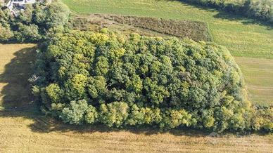 Terreno di 6800 m² a Cambiago