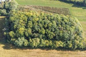 Terreno di 6800 m² a Cambiago