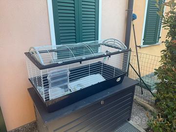 Gabbia per conigli