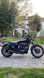 Sportster XL883R