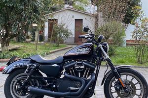 Sportster XL883R