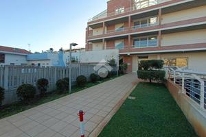 MULTILOCALE A PINETO