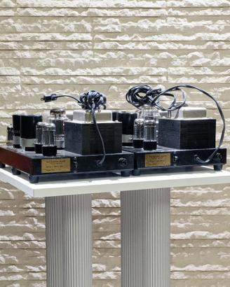 QuickSilver-Amplificatori Finali-Mono Amp 8417