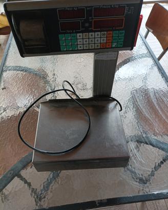 bilancia professionale