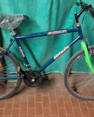 bici uomo 