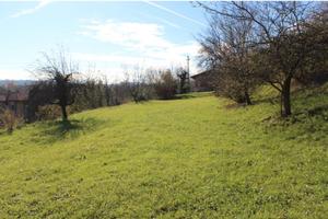 Terreno agricolo ed edificabile