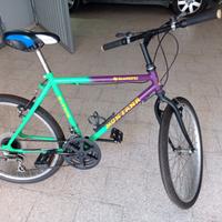 bici MTB montana 