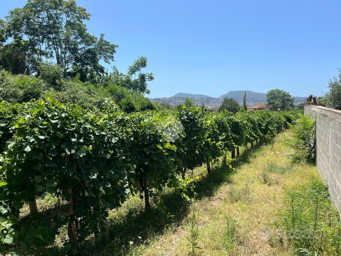 TER. AGRICOLO A MARANO DI NAPOLI - Vista 3