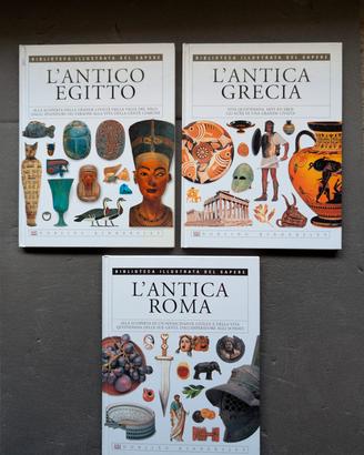 Biblioteca illustrata del sapere 