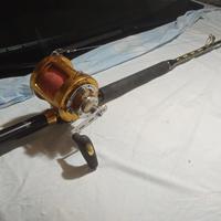 Canna Sunrise Tuna 30-50 lb