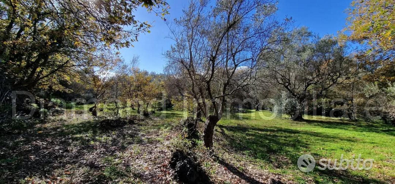 Terreno con rustico a Castiglione di Sicilia - Vista 4
