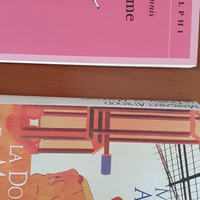 2 libri (gli Adelphi e l'altro edito da Corbaccio)