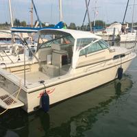 Boston Whaler 31 NATANTE