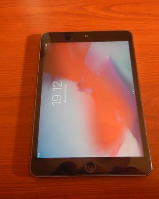 Ipad  mini 16 gb.