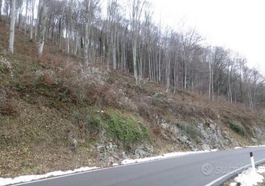 Immobile in asta di 17695 m² a Costa Valle Imagna