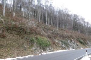 Immobile in asta di 17695 m² a Costa Valle Imagna