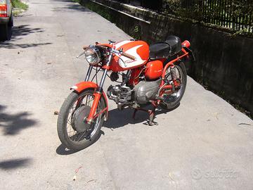 AER MACCHI Ala Verde - moto