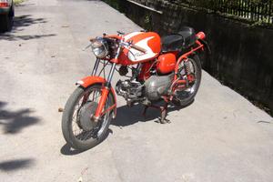 AER MACCHI Ala Verde - moto