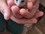 Immagine 6