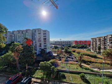 V.le Bummacaro 3 vani + posti auto liberi - 2