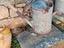 Immagine 1