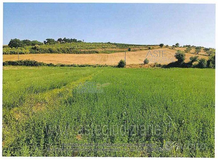 Terreno Agricolo Maiolati Spontini [A4352819] - Vista 5