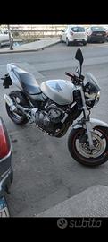 honda Hornet 600