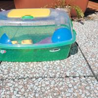 Gabbietta per criceti