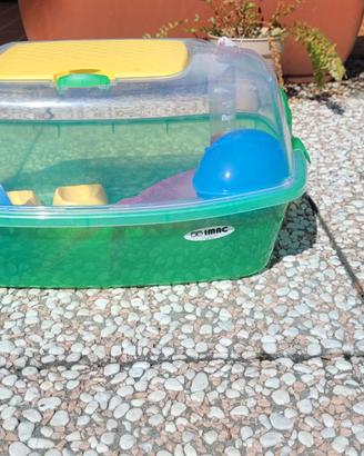 Gabbietta per criceti