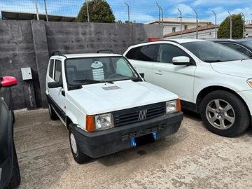 Fiat Panda 900 i.e. cat Young