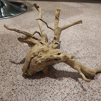 radice driftwood 