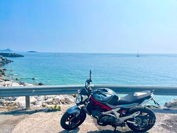 Suzuki Gladius