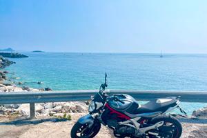 Suzuki Gladius
