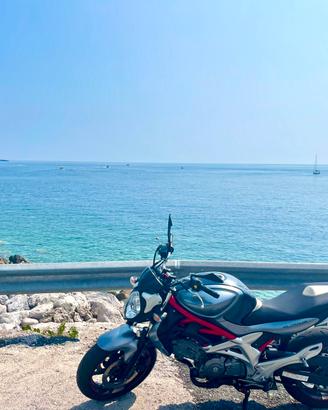 Suzuki Gladius