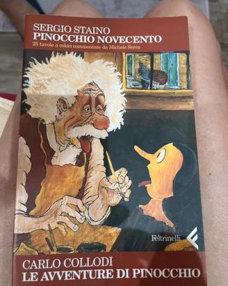 Libro Pinocchio