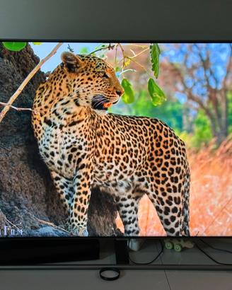 Samsung QLED 55" QE55Q7FNA 4K HDR – Ottime condizi