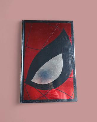 Volume Marvel Collection dedicato a Spider-Man