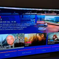 TV Oled Sony KD-55A8 con difetto al pannello