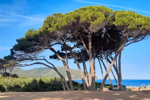 Bilocale 3+2 posti mare Baratti 10