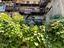 Immagine 25