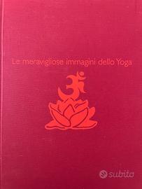 YOGA - Le meravigliose immagini dello yoga