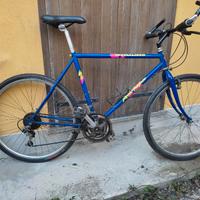 Specialized RockHopper 1988