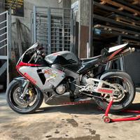 HONDA CBR 600 rr 2003 pronto pista