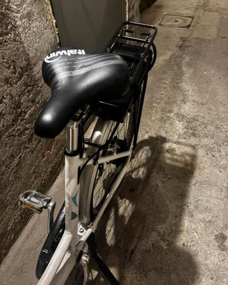 bicicletta elettrica