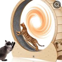 ruota per gatti 