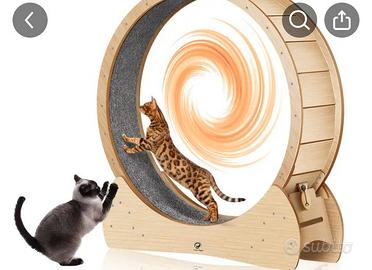 ruota per gatti 